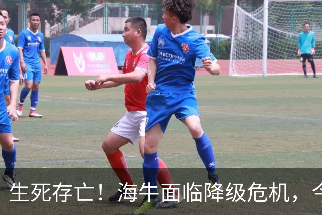 生死存亡！海牛面临降级危机，今晚必胜国安才有希望